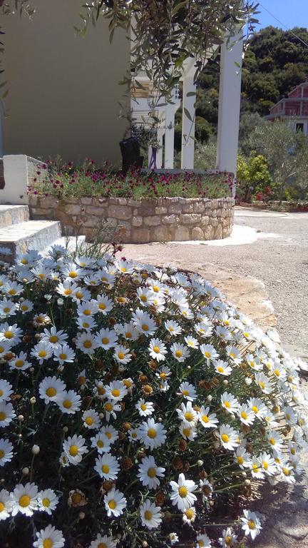 Guest House Solive Himarë Exteriér fotografie